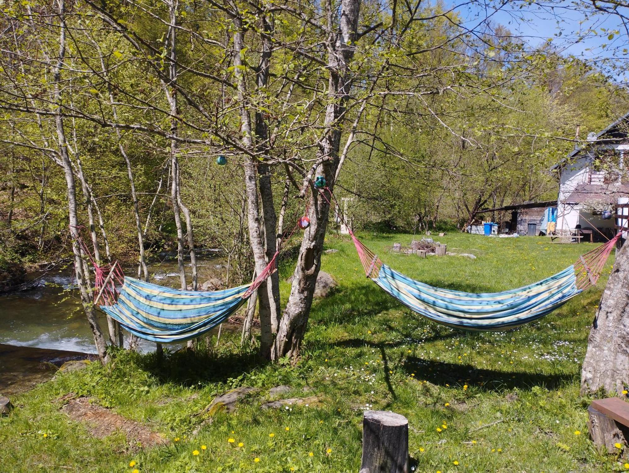 Vila Complex Adela Transfagarasan Cîrţişoara Exteriér fotografie