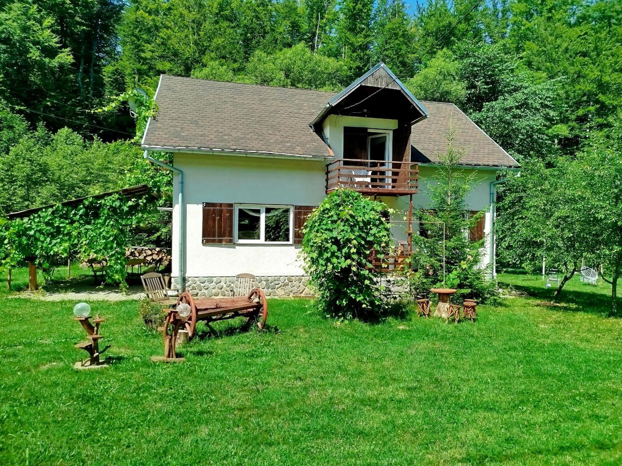 Vila Complex Adela Transfagarasan Cîrţişoara Exteriér fotografie