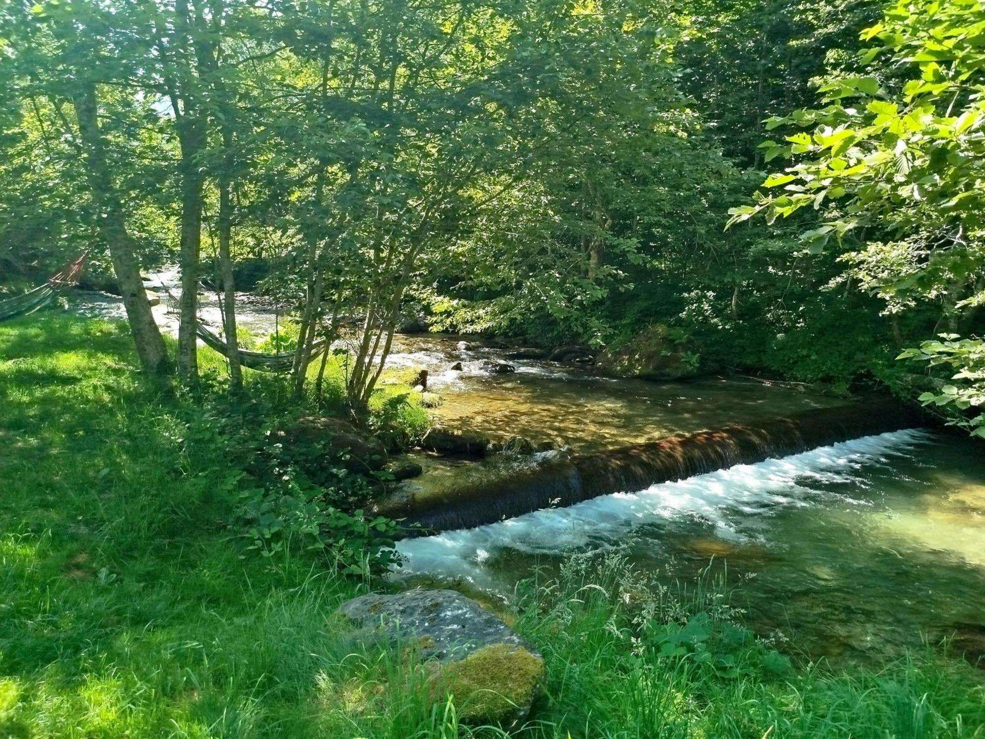 Vila Complex Adela Transfagarasan Cîrţişoara Exteriér fotografie