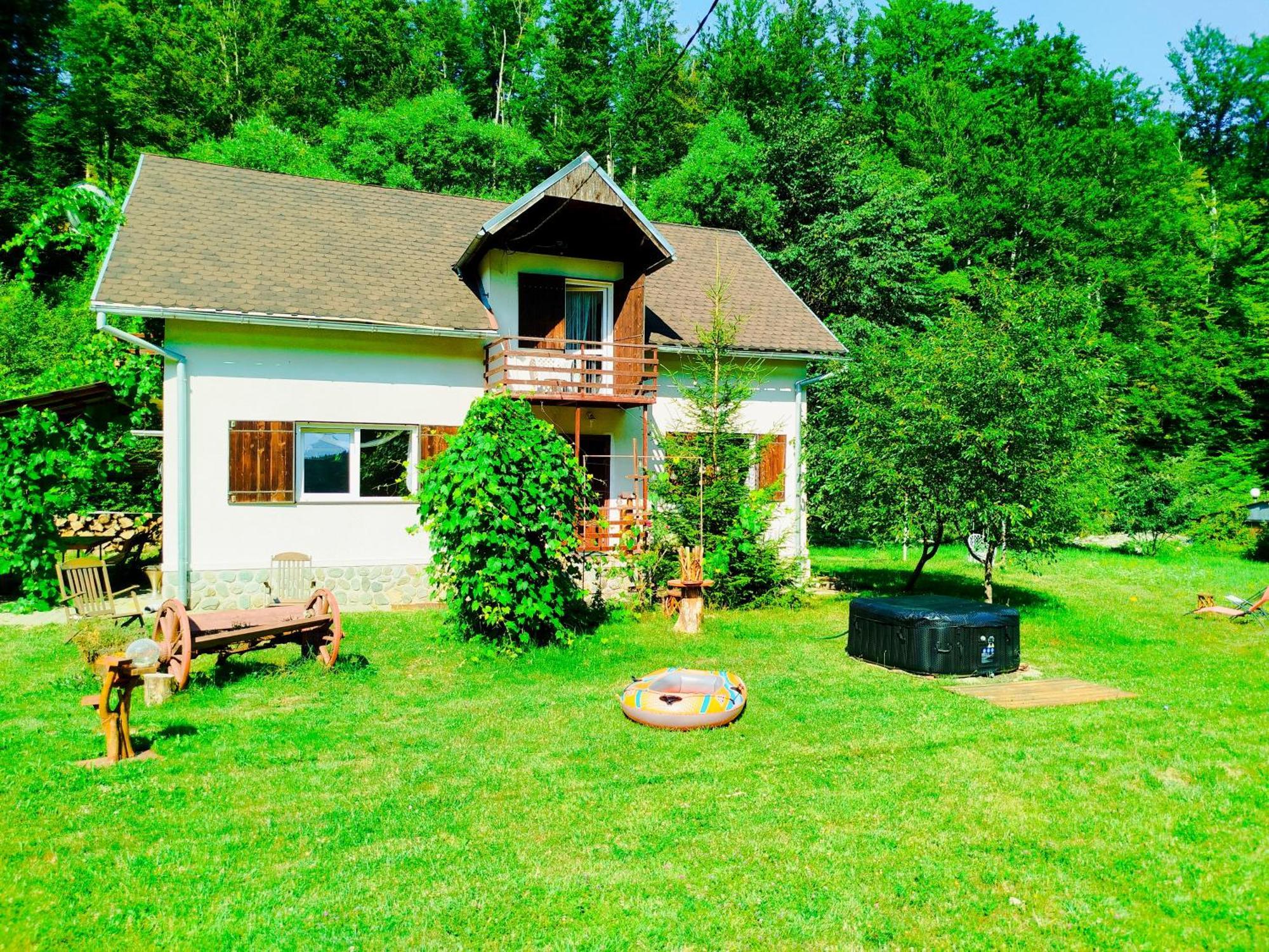 Vila Complex Adela Transfagarasan Cîrţişoara Exteriér fotografie